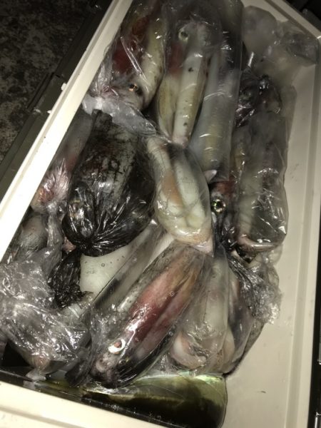 寿裕 （YOSHIHIRO） 釣果