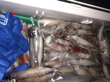 幸風（さちかぜ） 釣果