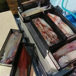 宝生丸 釣果
