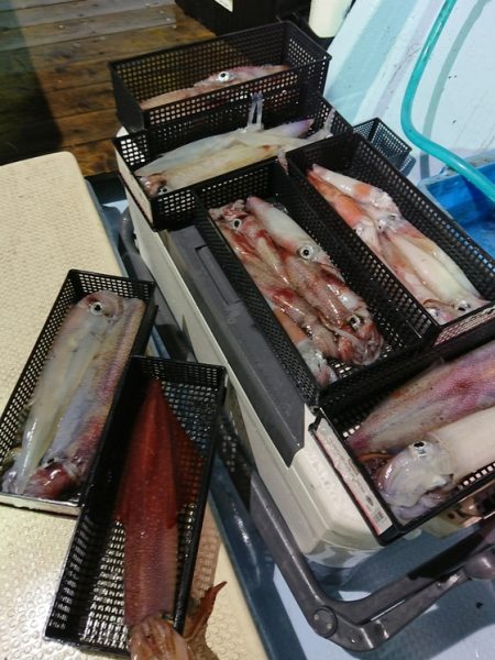 宝生丸 釣果