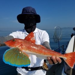 遊漁船　ニライカナイ 釣果