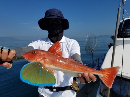 遊漁船　ニライカナイ 釣果
