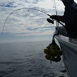 第五慶門丸 釣果