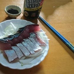 しば渡船 釣果