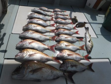 遊漁船 幸友丸 釣果