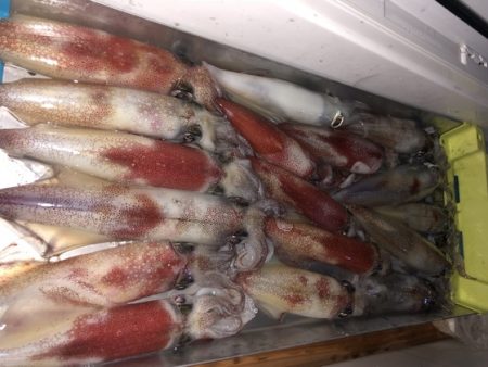 幸風（さちかぜ） 釣果