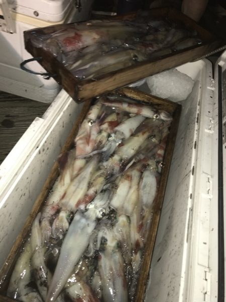 寿裕 （YOSHIHIRO） 釣果