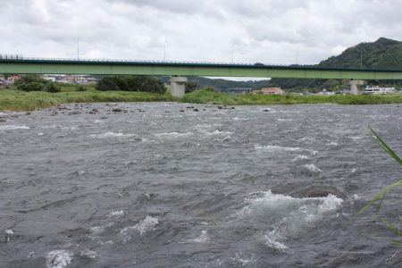 狩野川（狩野川漁業協同組合） 釣果