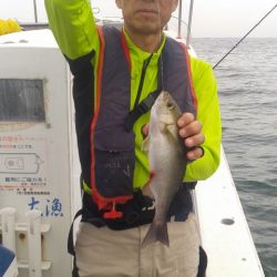 清和丸 釣果