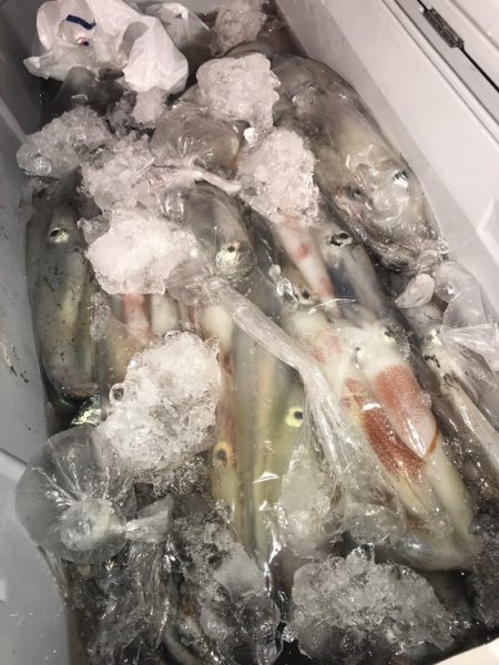 寿裕 （YOSHIHIRO） 釣果