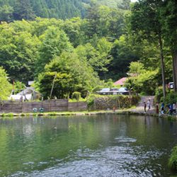 小菅トラウトガーデン 釣果