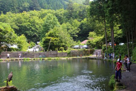 小菅トラウトガーデン 釣果