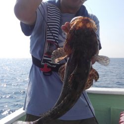 遊漁船 新鋭丸 釣果