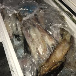 寿裕 （YOSHIHIRO） 釣果