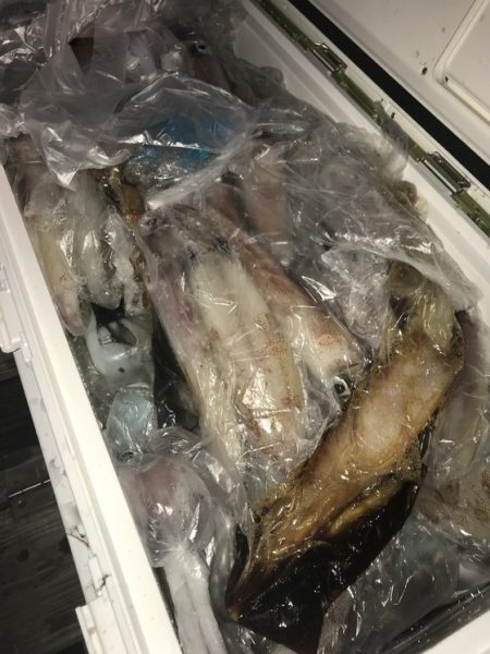 寿裕 （YOSHIHIRO） 釣果