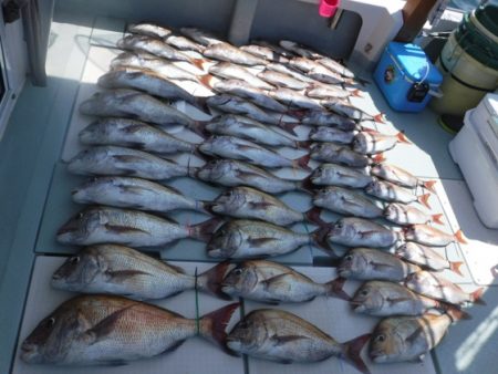 遊漁船 幸友丸 釣果