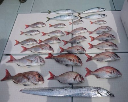 フィッシングボートACE（エース） 釣果