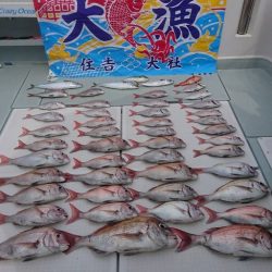 フィッシングボートACE(エース) 釣果