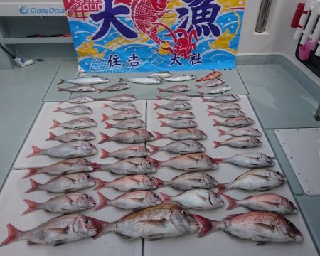 フィッシングボートACE(エース) 釣果