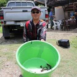 狩野川(狩野川漁業協同組合) 釣果