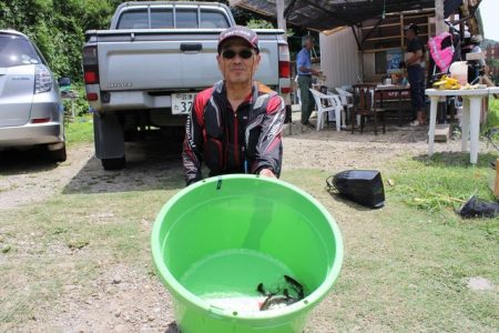 狩野川(狩野川漁業協同組合) 釣果