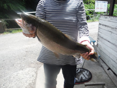 すそのフィッシングパーク 釣果