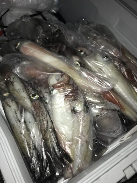 寿裕 （YOSHIHIRO） 釣果