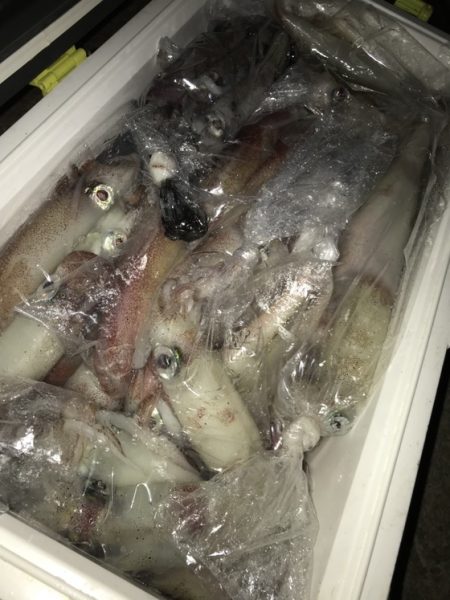 寿裕 （YOSHIHIRO） 釣果