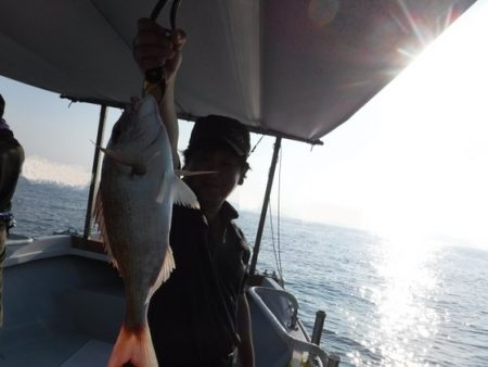 遊漁船 幸友丸 釣果