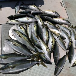 ふじしめ丸 釣果