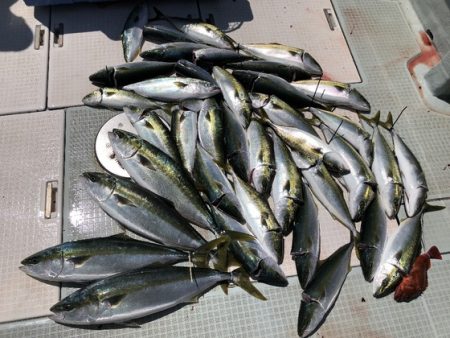 ふじしめ丸 釣果