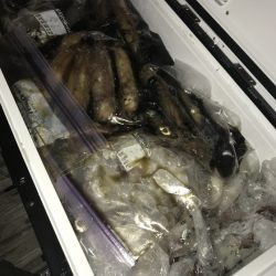 寿裕 （YOSHIHIRO） 釣果