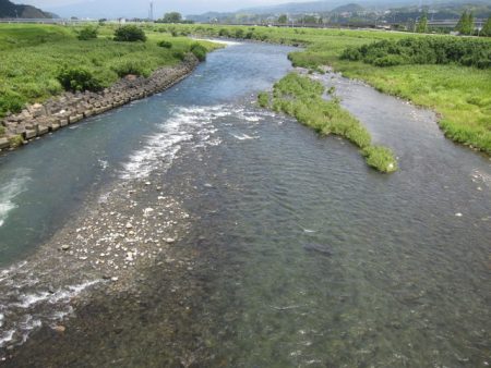 狩野川(狩野川漁業協同組合) 釣果
