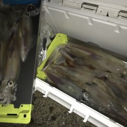 寿裕 （YOSHIHIRO） 釣果