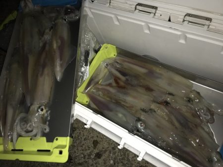 寿裕 （YOSHIHIRO） 釣果