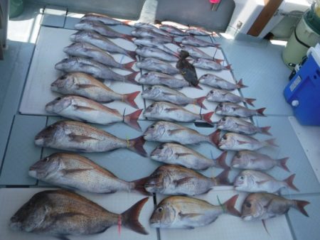 遊漁船 幸友丸 釣果