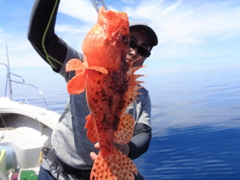 鯛紅丸 釣果
