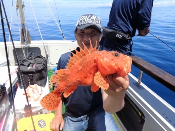 鯛紅丸 釣果