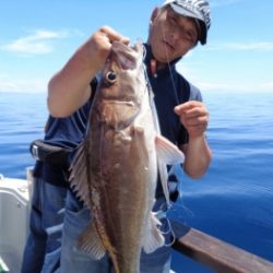 鯛紅丸 釣果