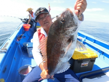 鯛紅丸 釣果