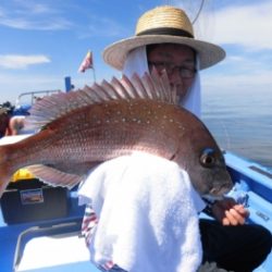 鯛紅丸 釣果