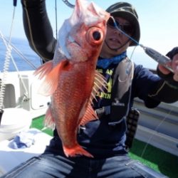 鯛紅丸 釣果