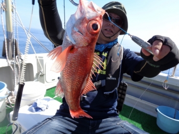 鯛紅丸 釣果