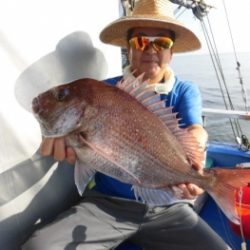 鯛紅丸 釣果