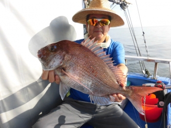 鯛紅丸 釣果