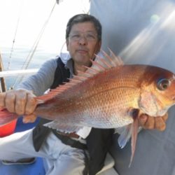 鯛紅丸 釣果