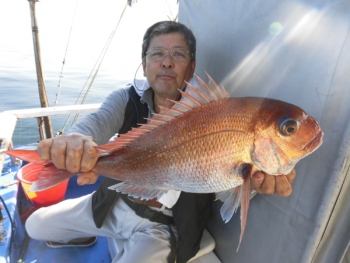 鯛紅丸 釣果