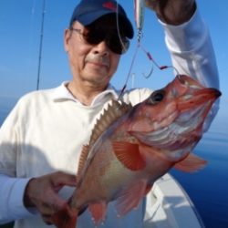 鯛紅丸 釣果