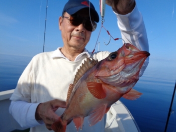 鯛紅丸 釣果