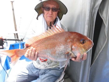 鯛紅丸 釣果